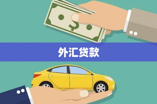 海盐外汇贷款