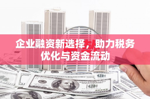 坪林企业融资新选择，助力税务优化与资金流动