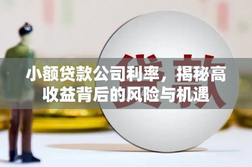 崇仁小额贷款公司利率，揭秘高收益背后的风险与机遇