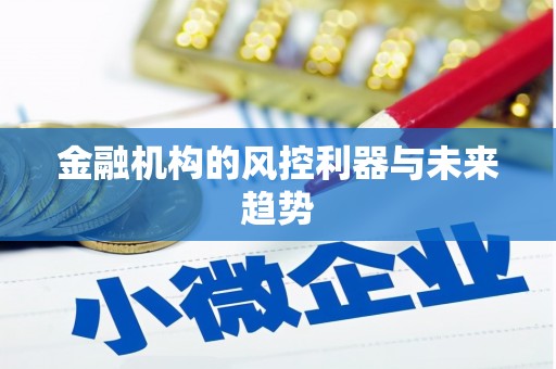 白碱滩金融机构的风控利器与未来趋势