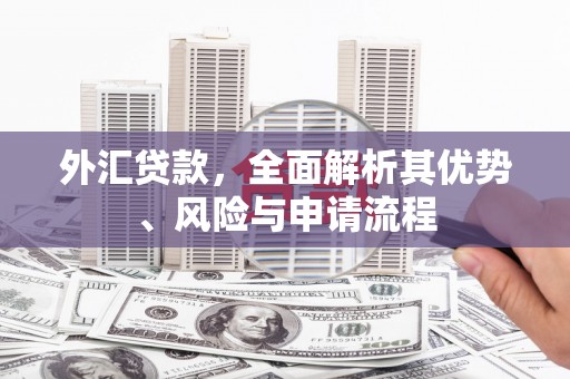 太康外汇贷款，全面解析其优势、风险与申请流程
