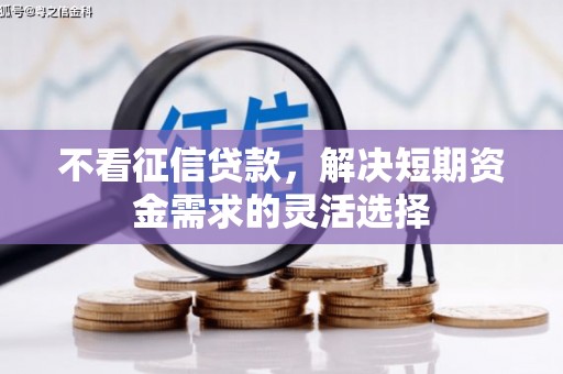 沙洋不看征信贷款，解决短期资金需求的灵活选择