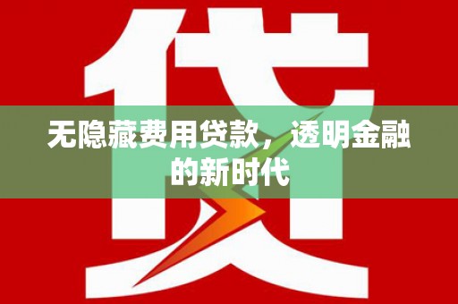 二林无隐藏费用贷款，透明金融的新时代