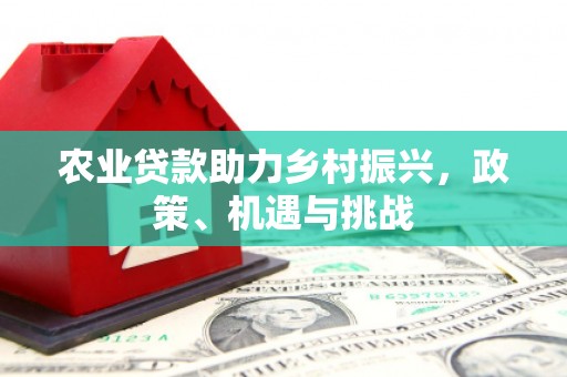 耀州农业贷款助力乡村振兴，政策、机遇与挑战