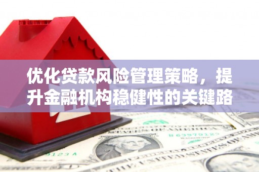 苍溪优化贷款风险管理策略，提升金融机构稳健性的关键路径