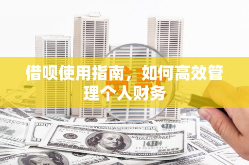 莿桐借呗使用指南，如何高效管理个人财务