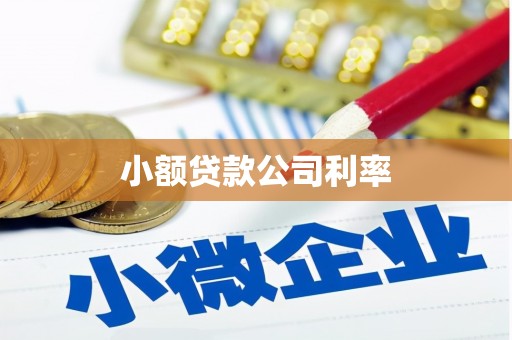 观音小额贷款公司利率