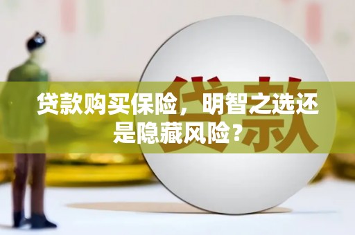 景东贷款购买保险，明智之选还是隐藏风险？