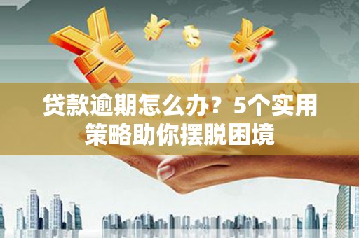 泰山贷款逾期怎么办？5个实用策略助你摆脱困境