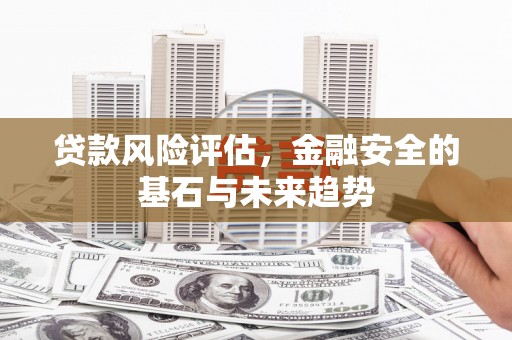 三穗贷款风险评估，金融安全的基石与未来趋势