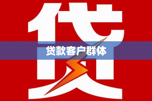 安南贷款客户群体