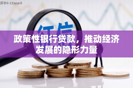 宣化政策性银行贷款，推动经济发展的隐形力量