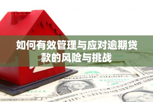 方山如何有效管理与应对逾期贷款的风险与挑战
