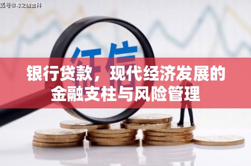 龙文银行贷款，现代经济发展的金融支柱与风险管理