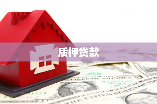 张湾质押贷款