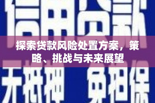 吕梁探索贷款风险处置方案，策略、挑战与未来展望