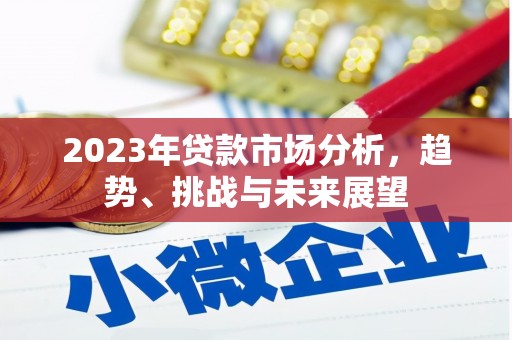 海原2023年贷款市场分析，趋势、挑战与未来展望