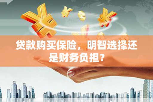 甘谷贷款购买保险，明智选择还是财务负担？