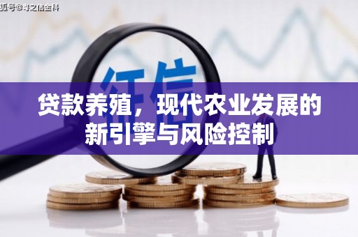 美兰贷款养殖，现代农业发展的新引擎与风险控制