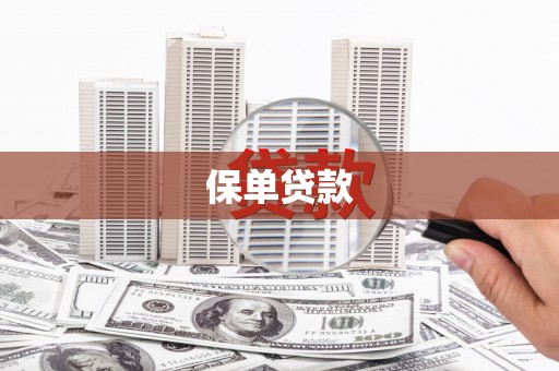 梧栖保单贷款