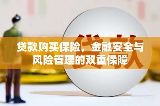 成武贷款购买保险，金融安全与风险管理的双重保障
