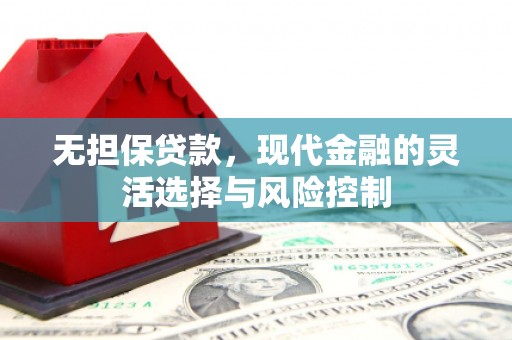崖州无担保贷款，现代金融的灵活选择与风险控制