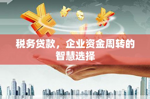 安定税务贷款，企业资金周转的智慧选择