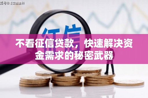 泽普不看征信贷款，快速解决资金需求的秘密武器