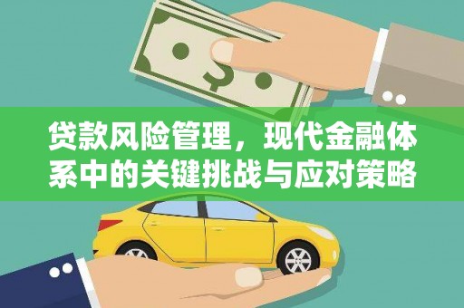 南宫贷款风险管理，现代金融体系中的关键挑战与应对策略