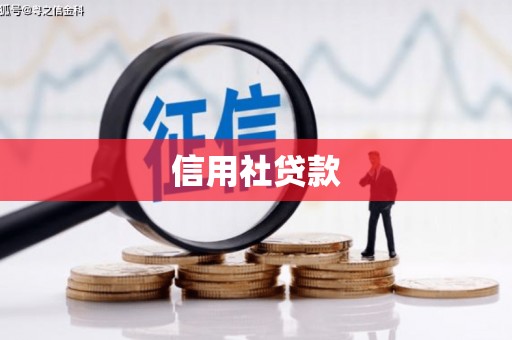 尼玛信用社贷款