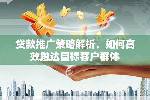瑞芳贷款推广策略解析，如何高效触达目标客户群体