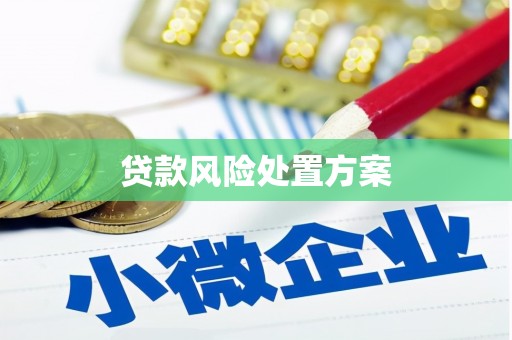 泽普贷款风险处置方案