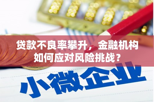 临猗贷款不良率攀升，金融机构如何应对风险挑战？