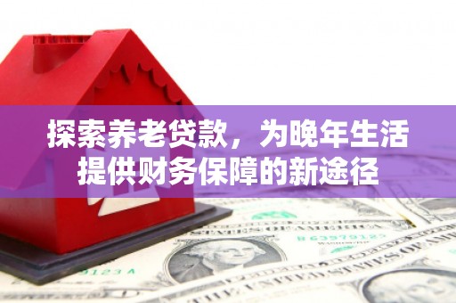 那曲探索养老贷款，为晚年生活提供财务保障的新途径