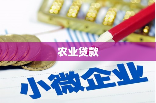 赫山农业贷款