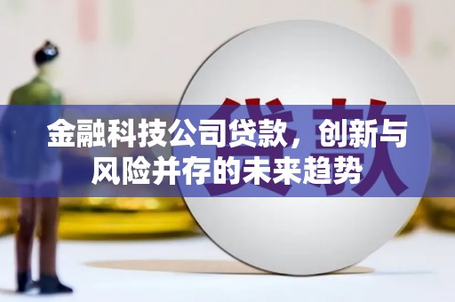 孟村金融科技公司贷款，创新与风险并存的未来趋势