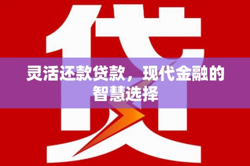 东光灵活还款贷款，现代金融的智慧选择