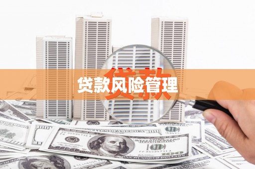 三义贷款风险管理