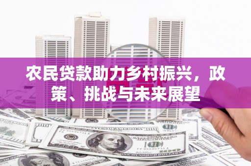伽师农民贷款助力乡村振兴，政策、挑战与未来展望