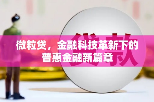 嘉模堂区微粒贷，金融科技革新下的普惠金融新篇章