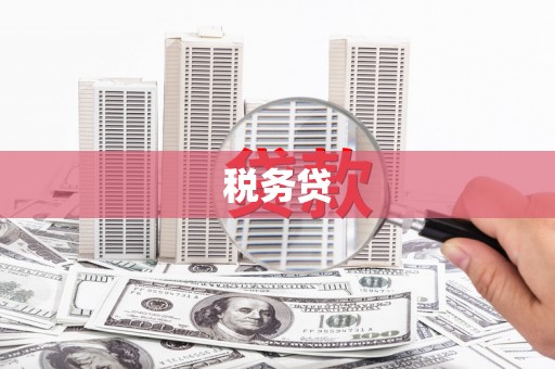 宜秀税务贷