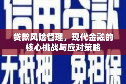 潮安贷款风险管理，现代金融的核心挑战与应对策略
