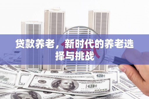 庆元贷款养老，新时代的养老选择与挑战