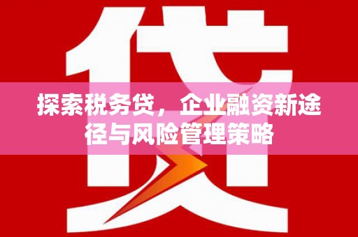 湖西探索税务贷，企业融资新途径与风险管理策略