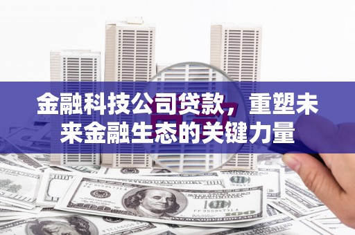 芬园金融科技公司贷款，重塑未来金融生态的关键力量