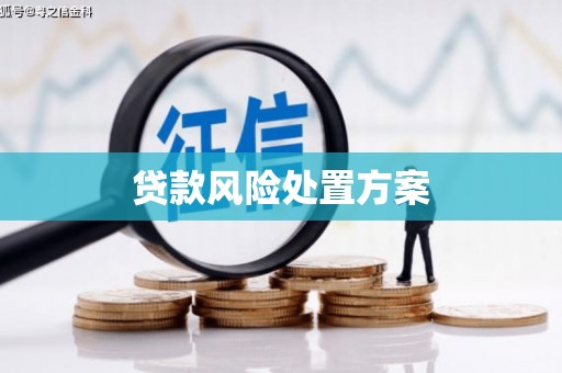 黄平贷款风险处置方案