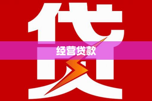 盘龙经营贷款