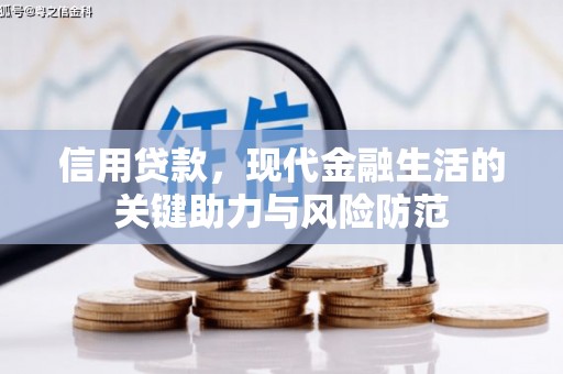 河池信用贷款，现代金融生活的关键助力与风险防范