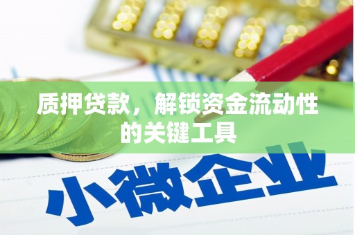 新沂质押贷款，解锁资金流动性的关键工具