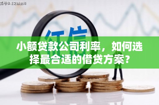 乐都小额贷款公司利率，如何选择最合适的借贷方案？